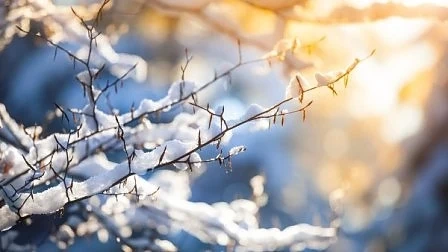 Днес слънчево с максимални температури между 1°и 6°