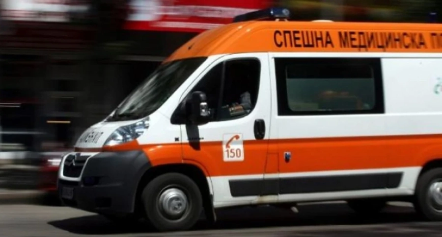 Домашно куче уби дете в Пазарджишко