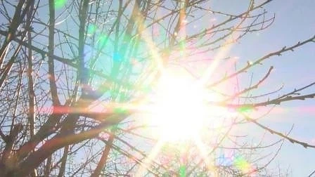 Днес предимно слънчево с максимални температури между 8° до 13°