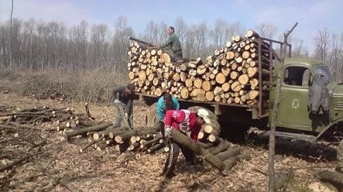 Вижте зелените как пазят Странджа. Сеч мори планината!