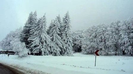 Днес облачно с максимални температури между - 3° и 8°