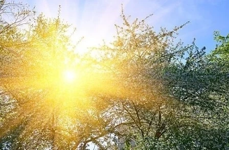 Днес слънчево с максимални температури между 17°и 22°, в София около 18°