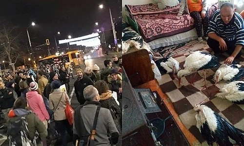 Зелените по площадите за пари! Хората се грижат за щъркелите по поляните