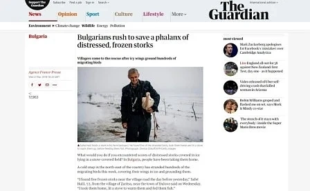„Гардиън”: Българите спасяват премръзнали щъркели