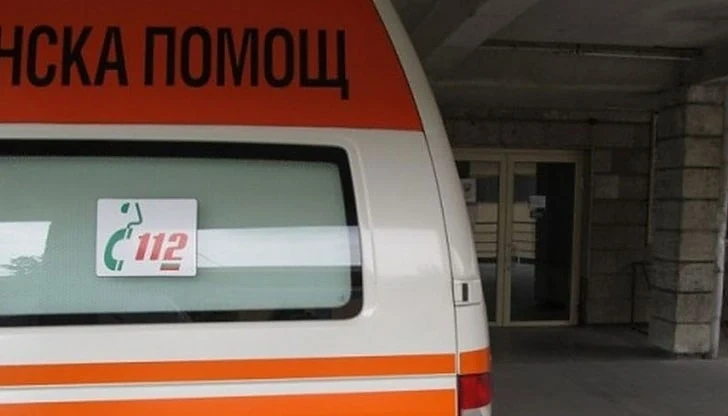  Блъснаха мъж, докато се опитва да премести таралеж от пътя