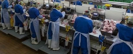 Сферите с най-много работни места у нас
