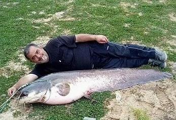 Рибар хвана сом гигант в яз. Жребчево!  