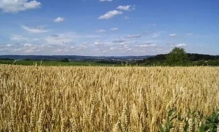 Дойче веле разказа за богатите, бедните и корупцията в земеделието