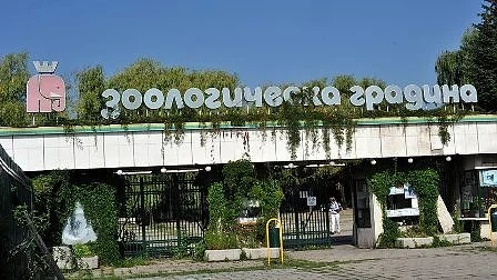 Столичният зоопарк празнува днес 130 години
