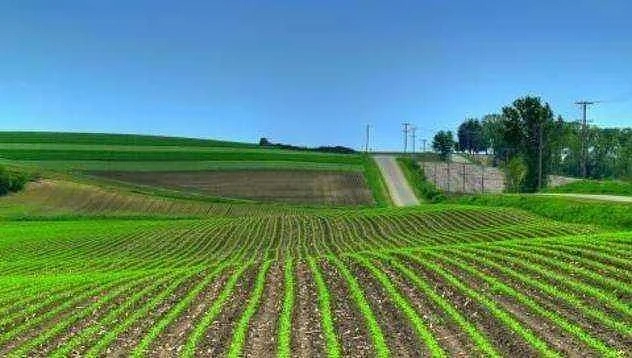 ЕС дава 365 млрд. евро за селскостопанската политика след 2020 г.