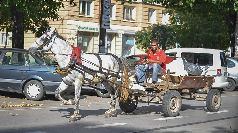Решим ли е проблемът с каруците?
