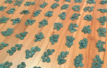 Задържаха близо 3 000 старинни монети на Капитан Андреево