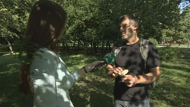 Опасни ли са гъбите, появили се по парковете в София