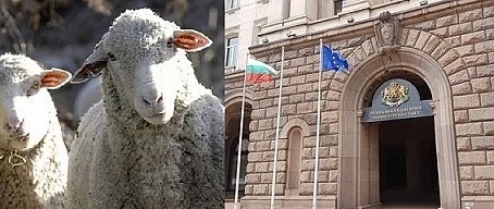 Като колят животни за Гергьовден, защо не протестират
