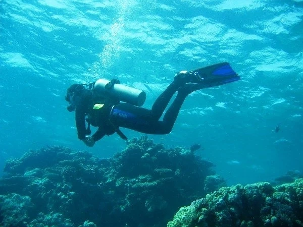 Наш гмуркач препоръчва Черно море за любителите водолази
