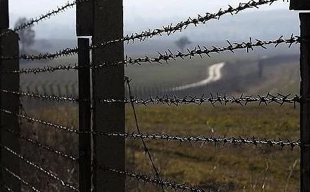 Започна изграждането на ограда по границата с Румъния срещу чума по свинете