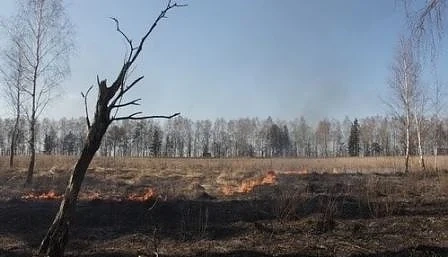 ООН: Пожарите в Северното полукълбо ще окажат дългосрочно влияние на климата
