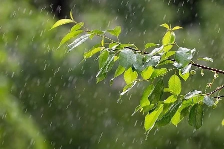 Днес с краткотрайни валежи. Максималните температури ще са между 28° и 33°