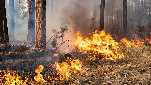 Повишена е опасността от пожари у нас 