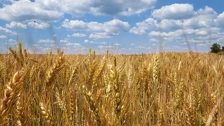 38 000 декара са унищожени от пороите