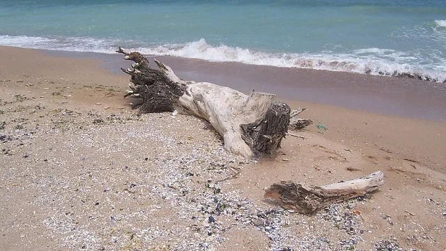 Морето взима жертви! 3 деца са изчезнали в морето край Дуранкулак