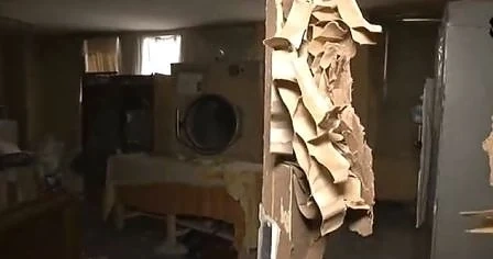 Вандали разбиха Центъра за деца с аутизъм в Плевен