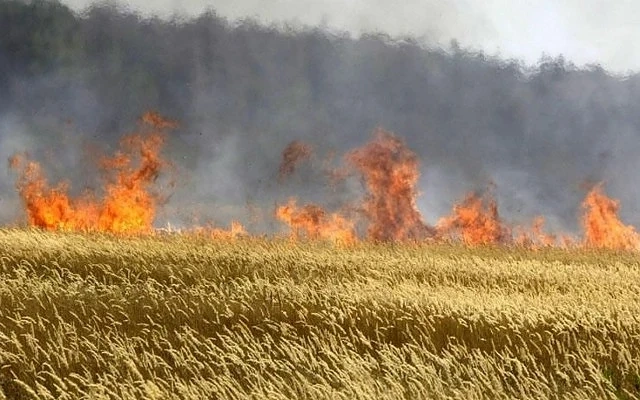 По-високи глоби за палене на стърнища