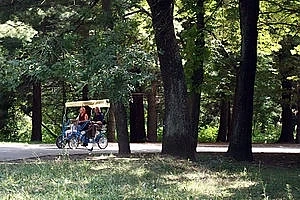 Организират  неделни забавления в Южен парк