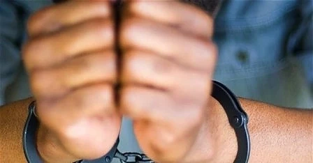 Задържаха престъпна група за незаконен добив на дървен материал