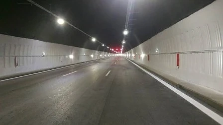 Правят профилактика през нощта в тунел \