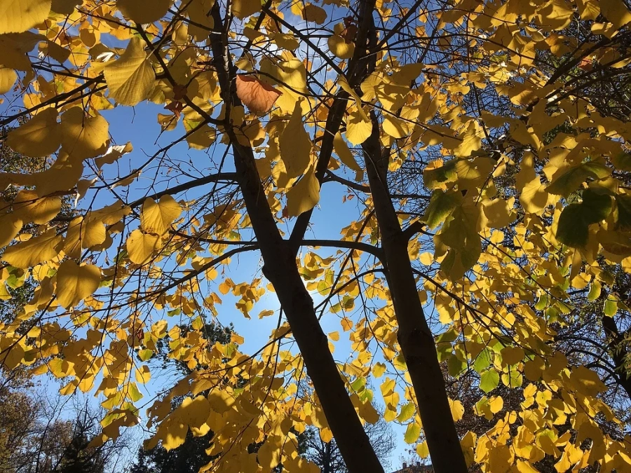 Слънчево време днес 