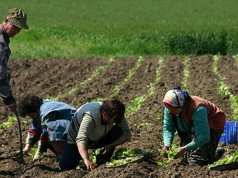 Тютюнджии от Гоце Делчев излизат на протест