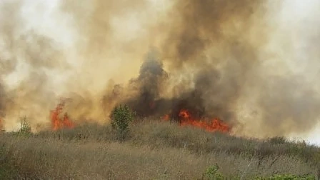 Пожар гори в местността Бонсови поляни край София