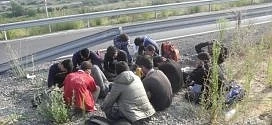 Спипаха 28 нелегални мигранти, укривали се в София