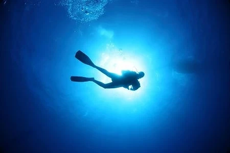 Водолази се спуснаха на 416 м дълбочина в Японско море