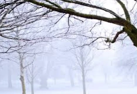 Днес сутринта мъгла, а през деня слънчево. Температурите ще са от - 4° до 9°