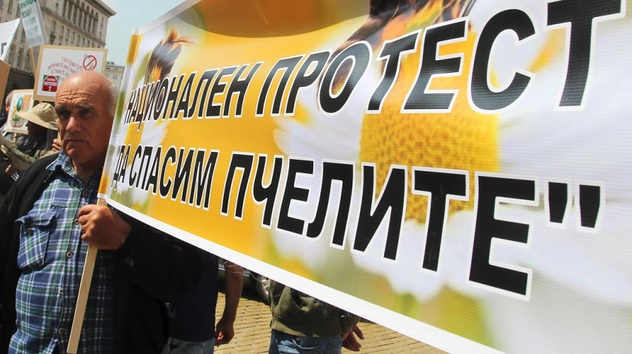 Национален протест на пчеларите, настояват за подкрепа от държавата