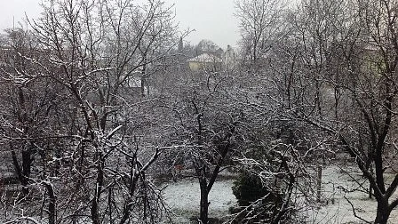 Днес облачно с валежи от сняг и дъжд. Максималните температури ще са между 0°и 10°