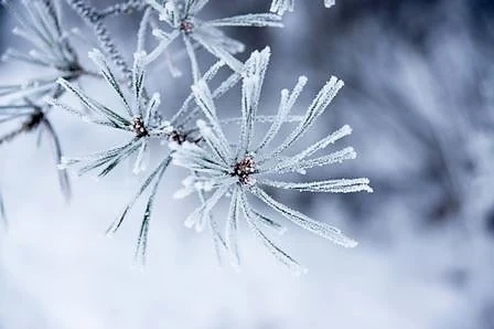 Днес предимно облачно с максимални температури между 0° и 8°