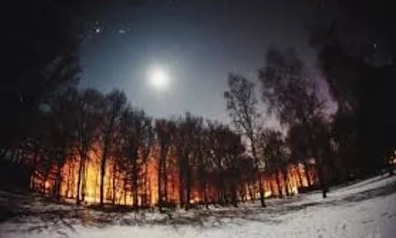 Тази нощ настъпва астрономическата зима