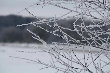 Днес облачно с температури между  -1° и 4°