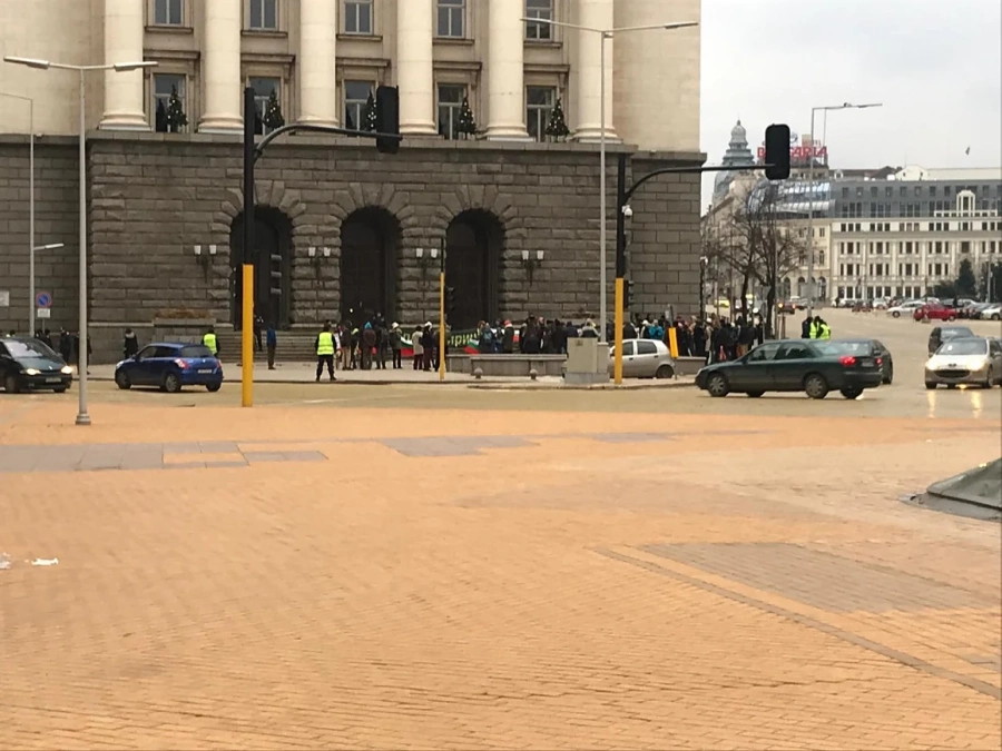Двайсетина зелени се събраха само пред МС