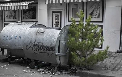 Столичният инспекторат: Не изхвърляйте елхите в кофите за боклук, оставете ги до тях