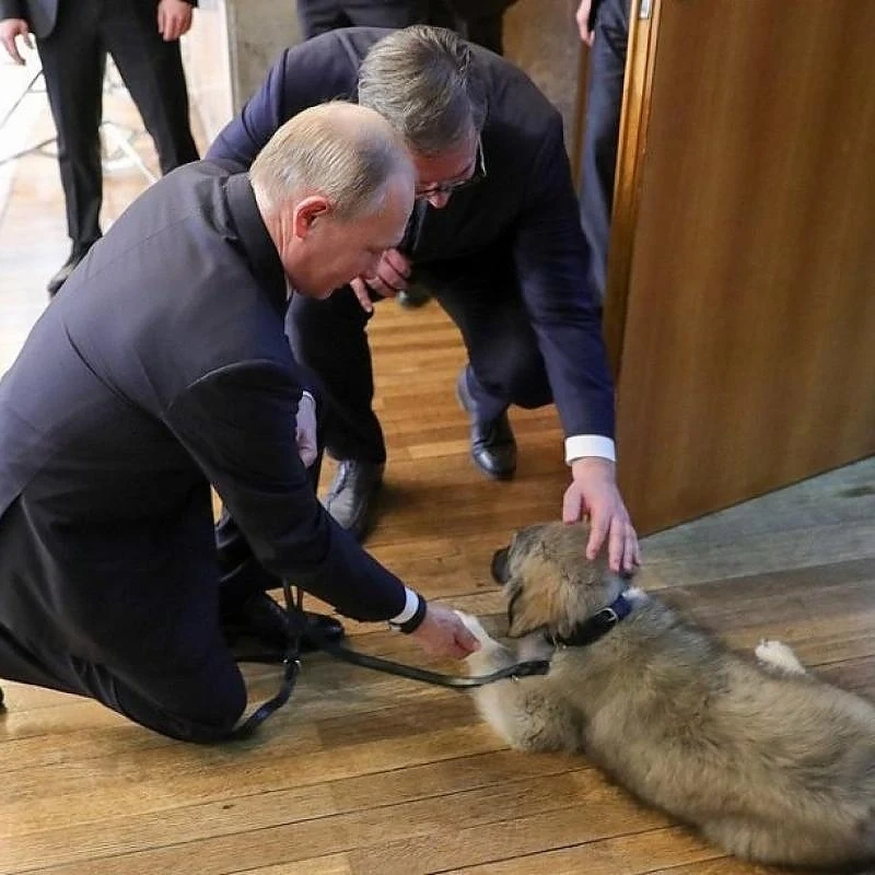 Путин получи специален подарък в Сърбия 
