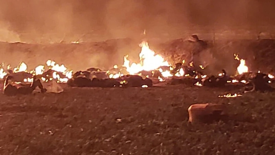 Взрив на тръбопровод за гориво взе над 20 жертви в Мексико 