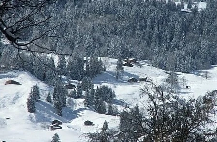Днес облачно с максимални температури между 2° и 12°