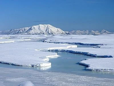 Северният полюс се измества към Сибир