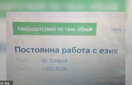 Обява за работа шашна с откровение 