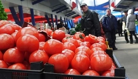 Доматите рекордно скъпи от 10 години насам. Внасяме ги от Полша, Гърция и Турция
