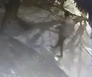 Издирват убиеца на таксиметровия шофьор в Разград